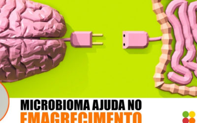 Microbioma humano pode Emagrecer!