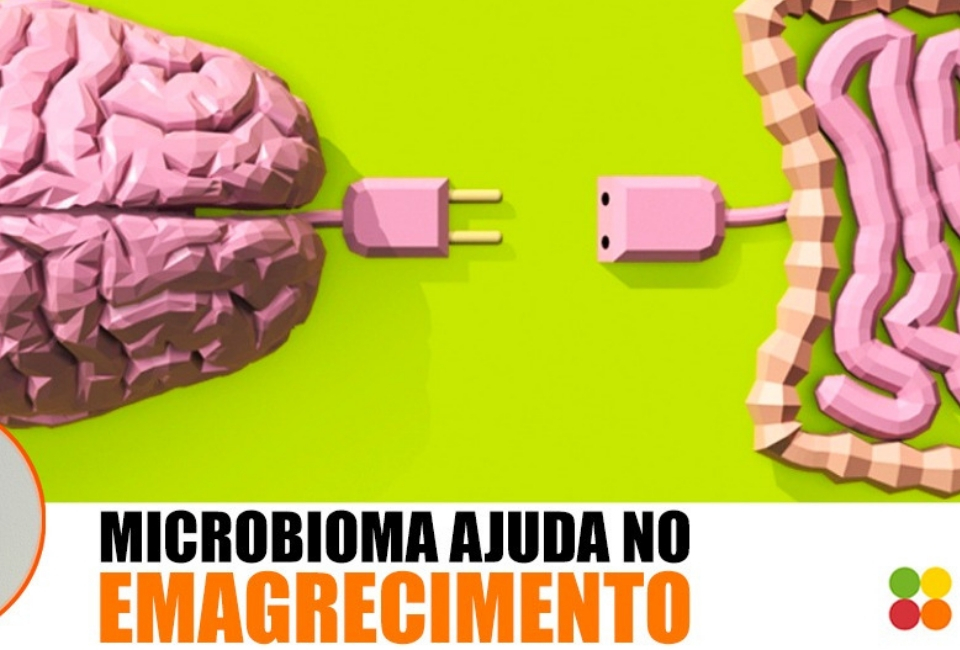 Microbioma humano pode Emagrecer!